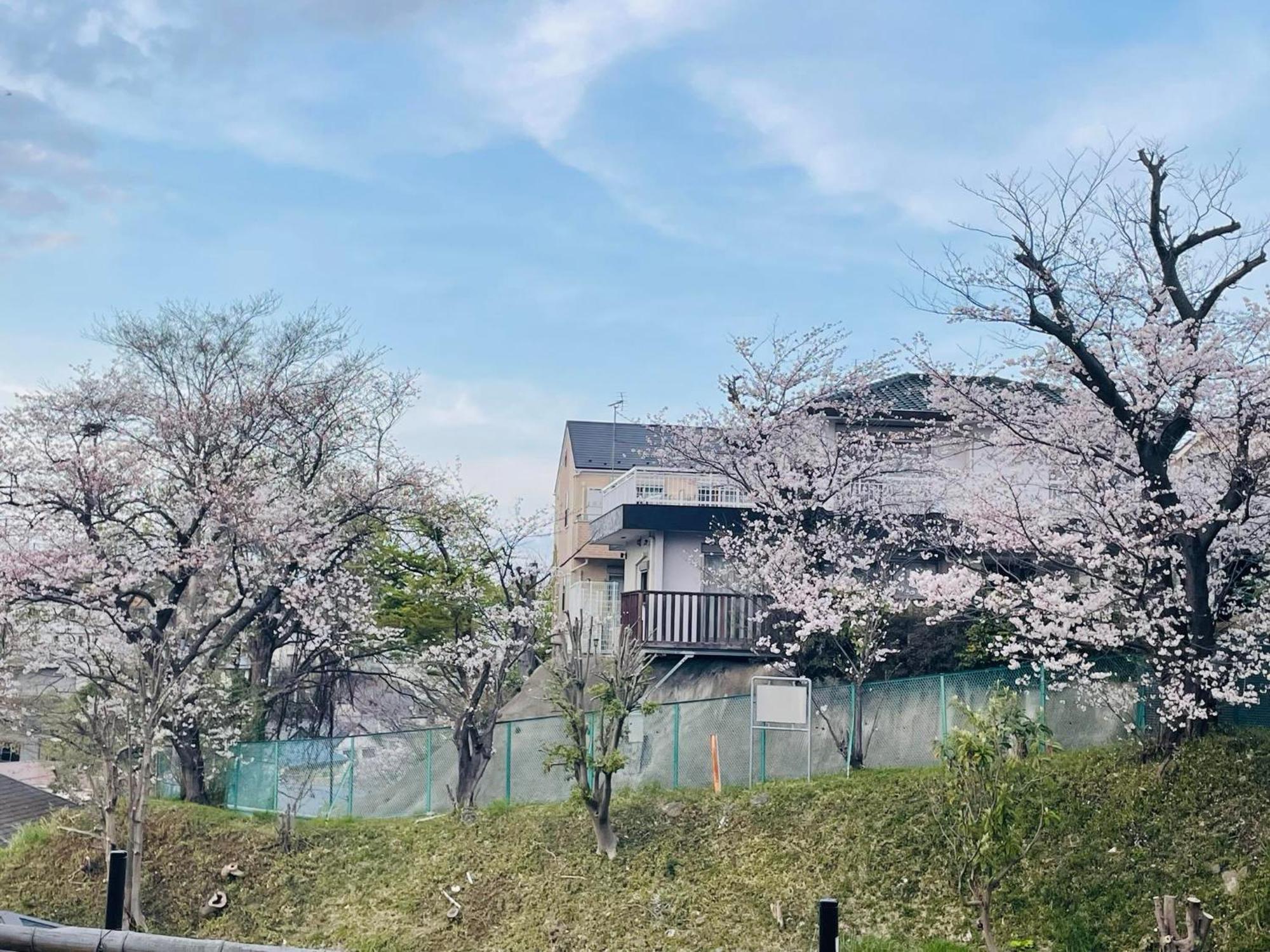 ソフィアハウス横浜 -女性専用シェアハウス- Sopfia House Yokohama For Women Only Shared House Hotel Bagian luar foto
